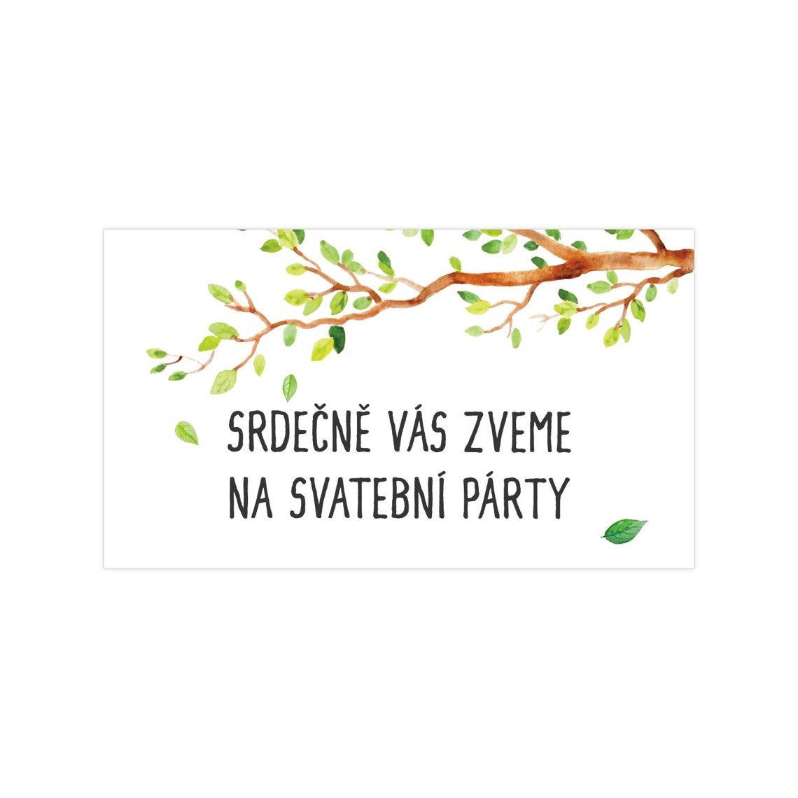 Pozvánka na raut 189 - pozvánka na svatební raut
